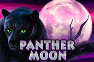 Игровой аппарат Panther Moon от разработчика Novomatic